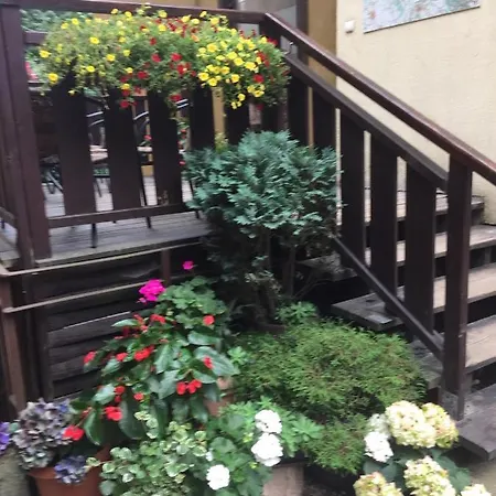 度假村 Centrum Turystyki Niekonwencjonalnej *