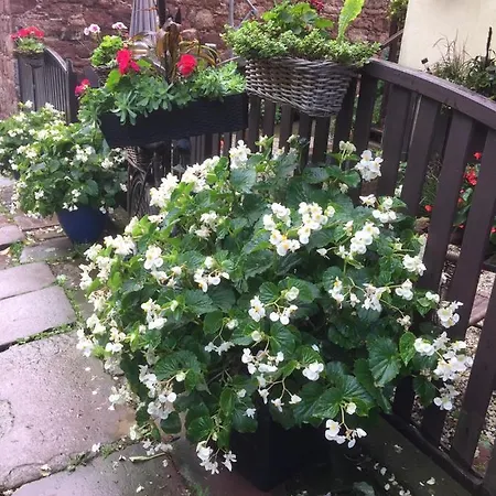 Centrum Turystyki Niekonwencjonalnej * Srebrna Góra