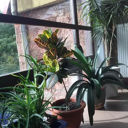 Resort Centrum Turystyki Niekonwencjonalnej Srebrna Góra