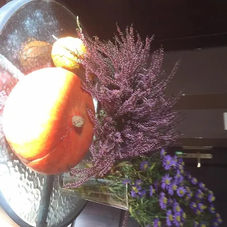 Centrum Turystyki Niekonwencjonalnej *