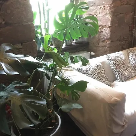 リゾート Centrum Turystyki Niekonwencjonalnej *