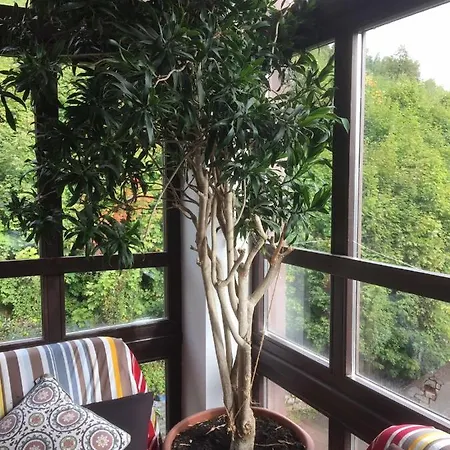 Resort Centrum Turystyki Niekonwencjonalnej