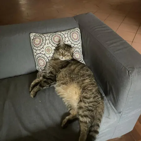 Centrum Turystyki Niekonwencjonalnej Srebrna Góra