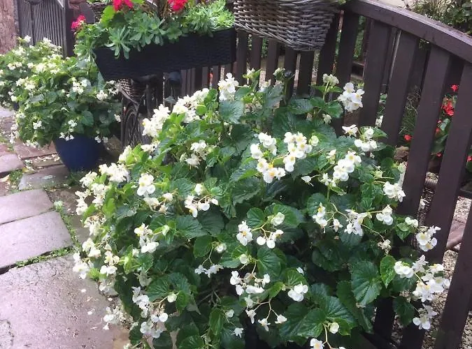 Centrum Turystyki Niekonwencjonalnej * Srebrna Góra