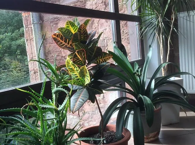 Курортный комплекс Centrum Turystyki Niekonwencjonalnej Сребрна Гура