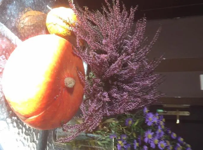 Centrum Turystyki Niekonwencjonalnej *