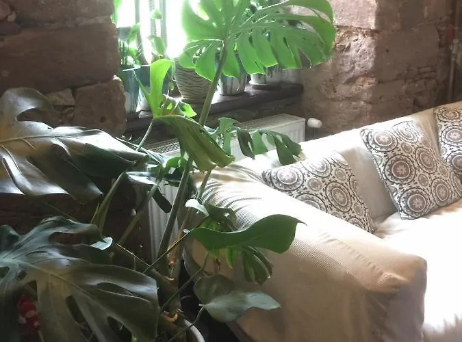 Курортный комплекс Centrum Turystyki Niekonwencjonalnej *