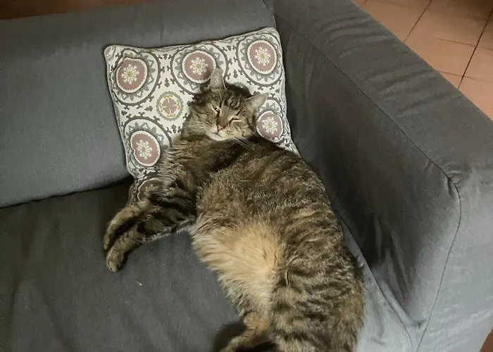 Centrum Turystyki Niekonwencjonalnej Srebrna Góra